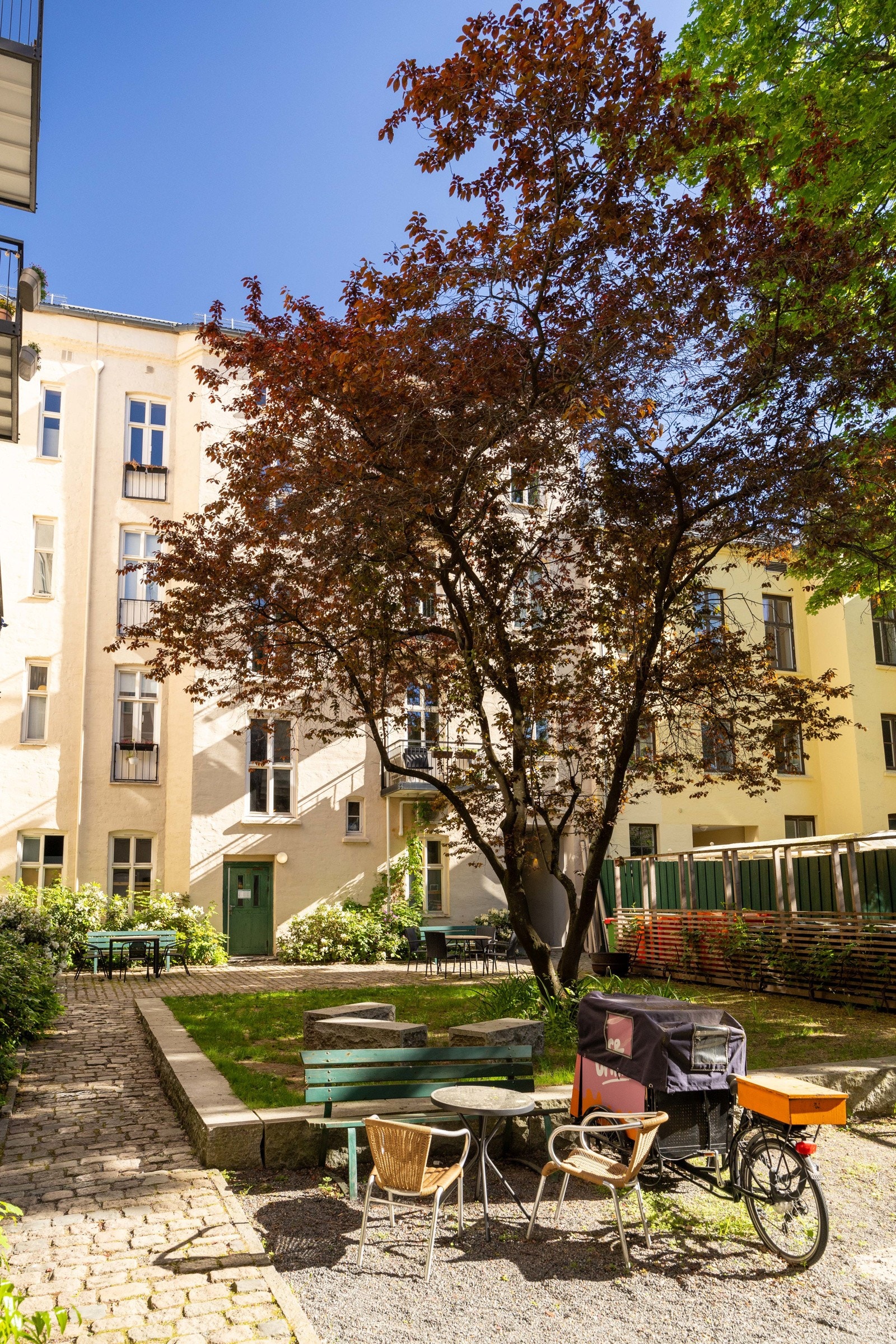 Her ligger alt til rette for å kunne trives. Galleribilde