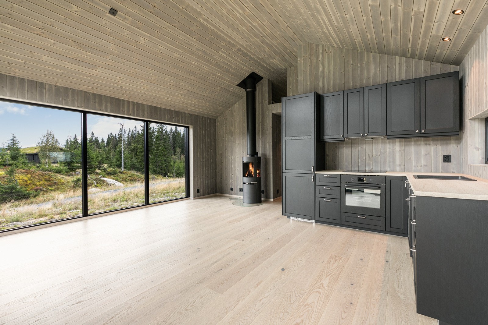 Stue/kjøkken Galleribilde