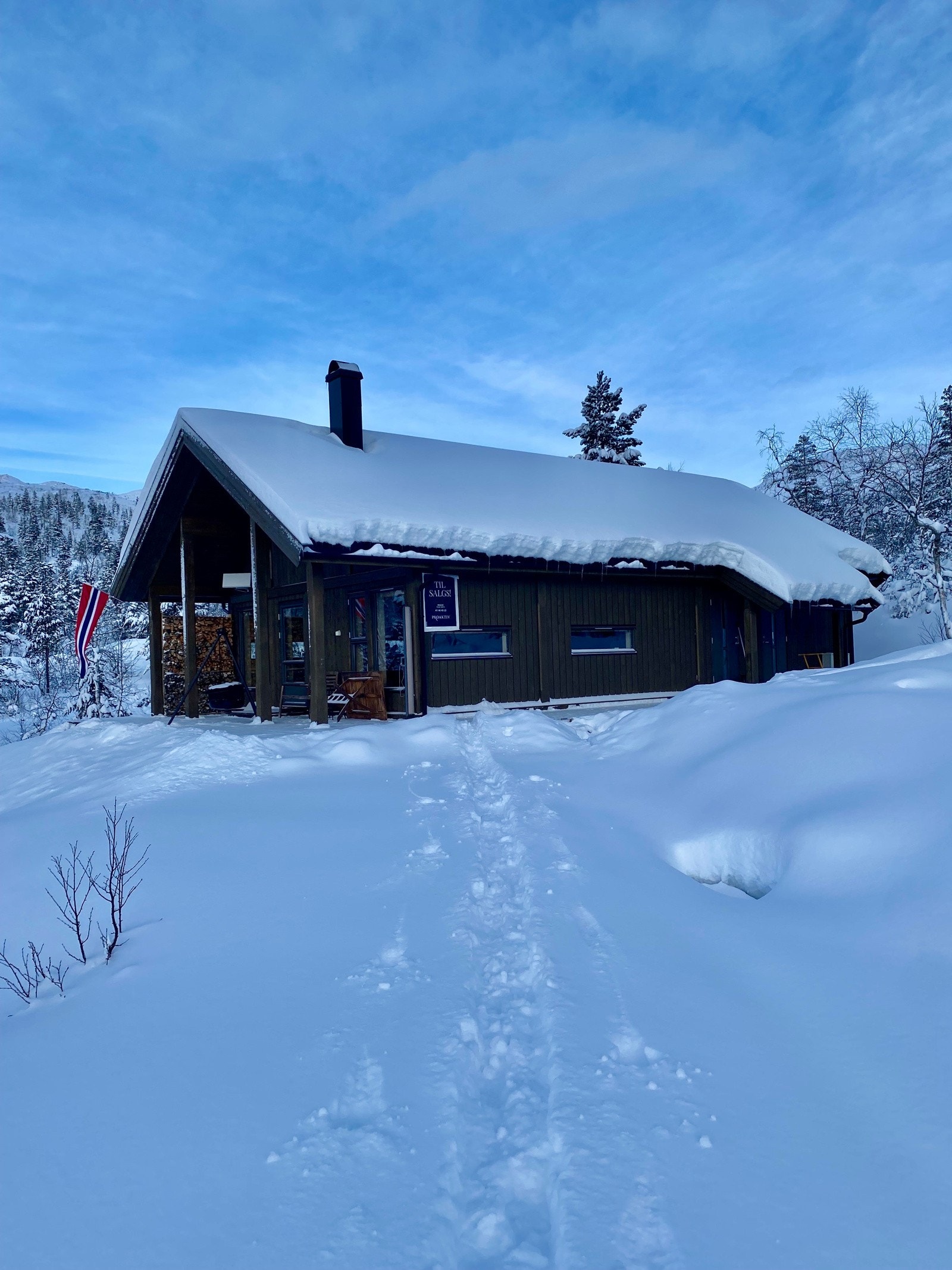 Mjølfjell har historisk sett vært meget snøsikkert med skiføre fra jul/nyttår til ut april/mai måned. Galleribilde