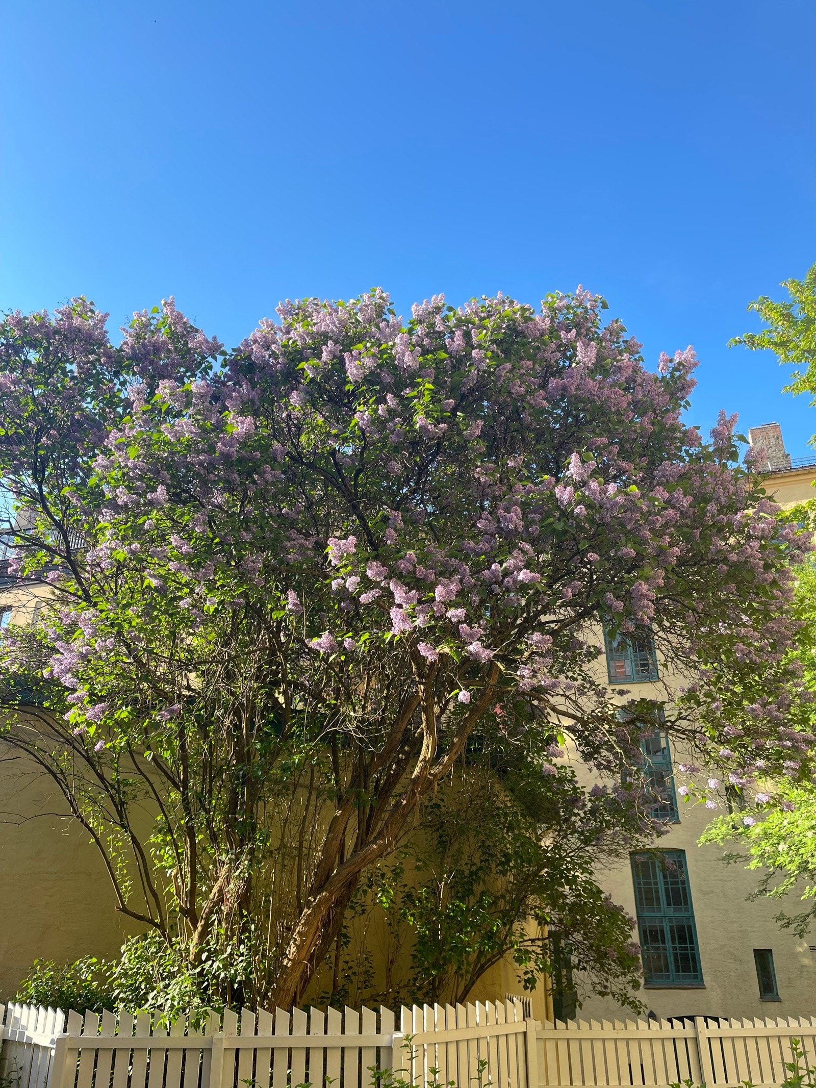 Bilde tatt fra kjøkkenet. Her vil du bo i et veldrevet borettslag med god vedlikeholdshistorikk. Galleribilde