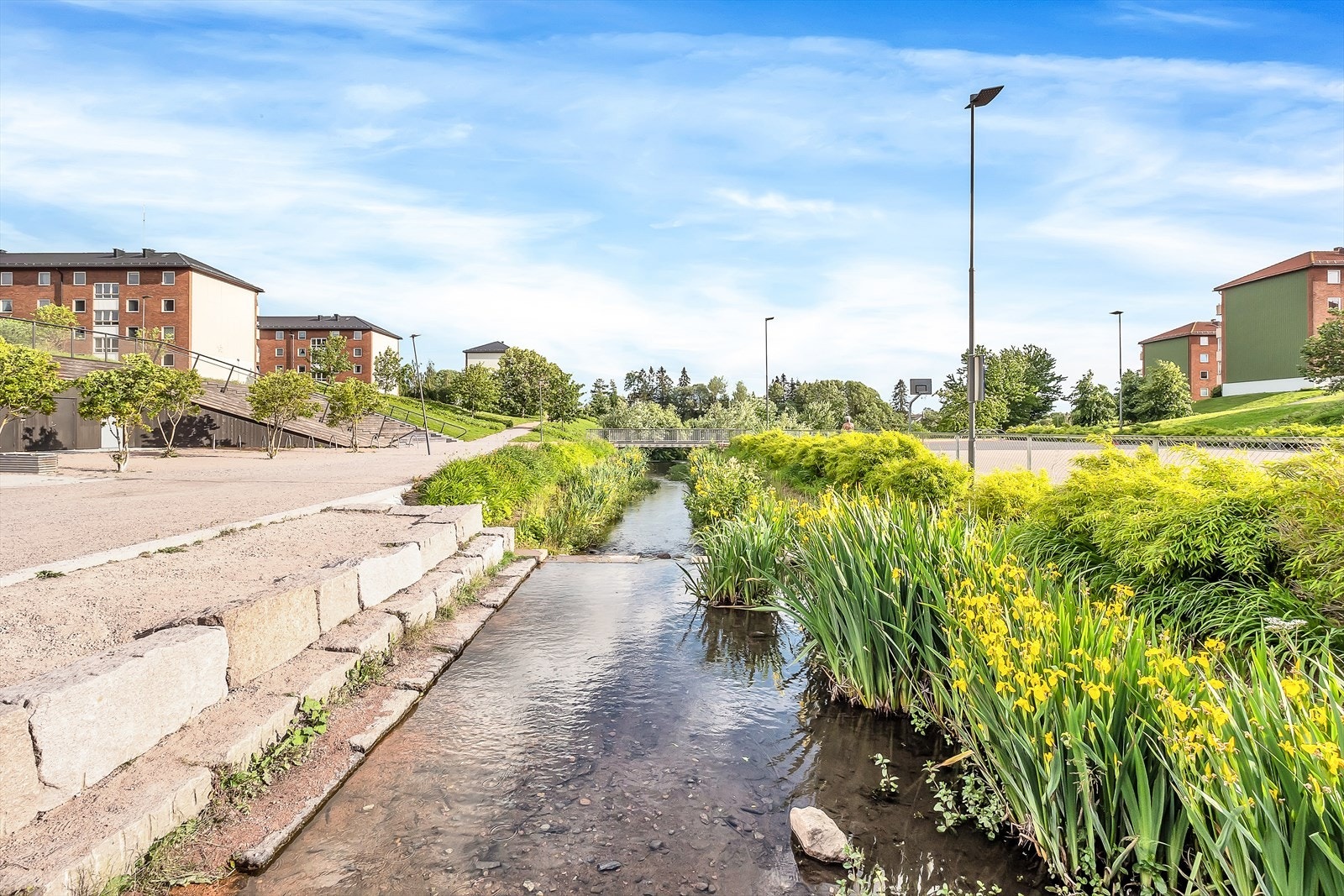 Risløkka på sommeren Galleribilde