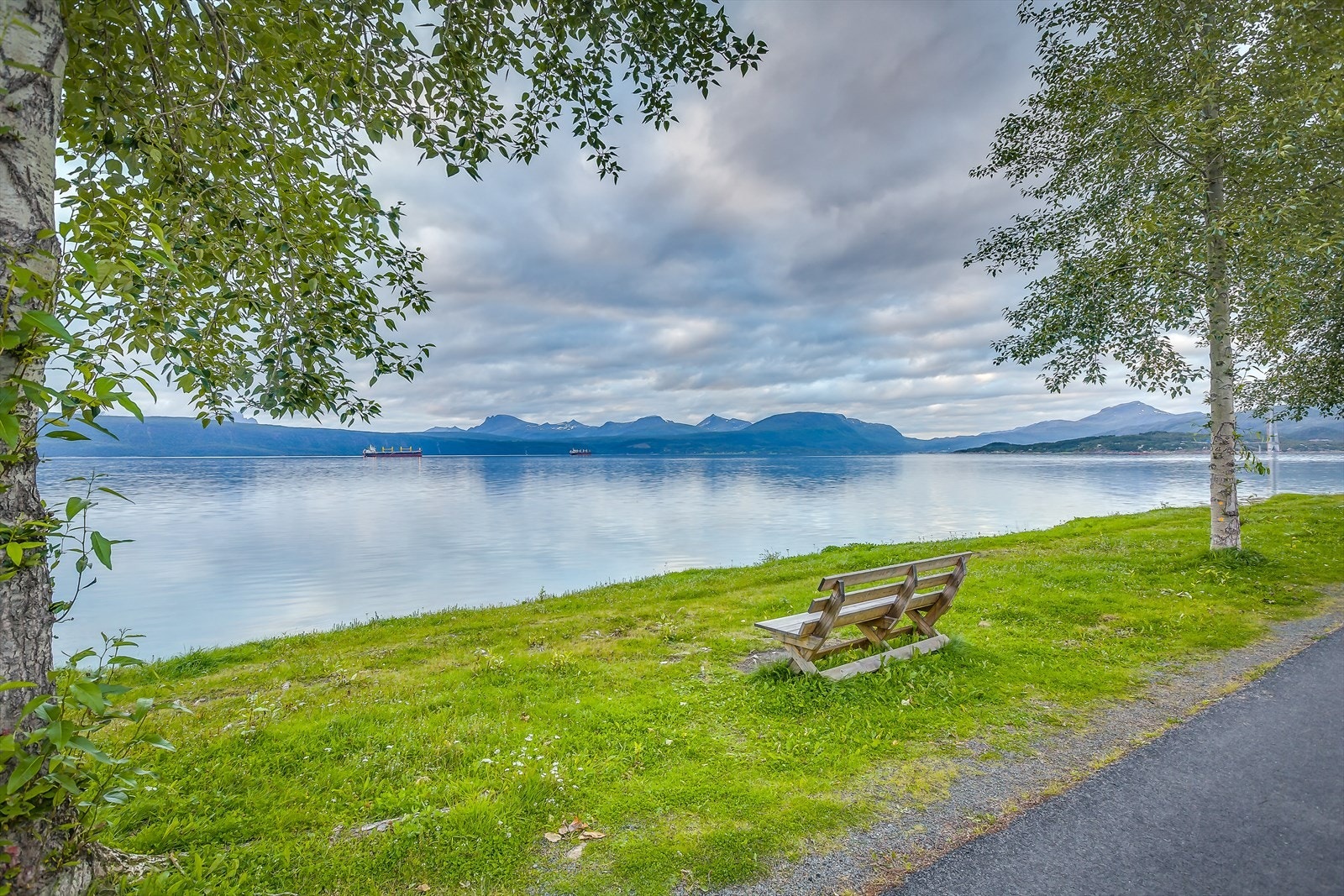 Nærmiljø Galleribilde