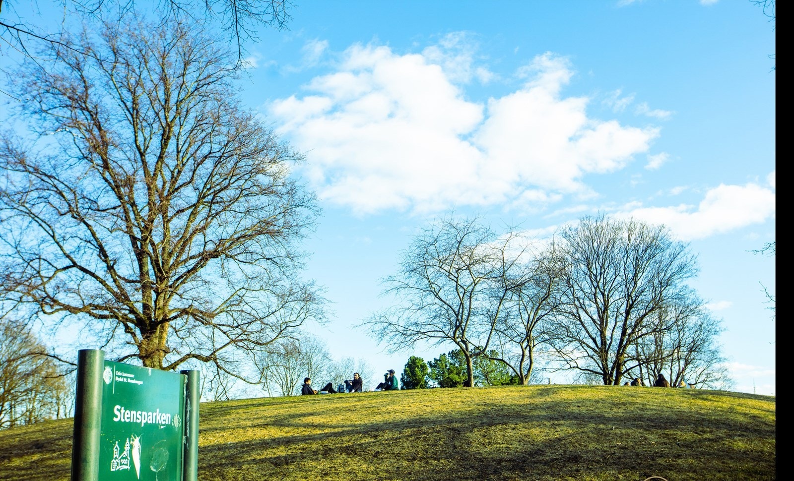 Områdebilde. Galleribilde