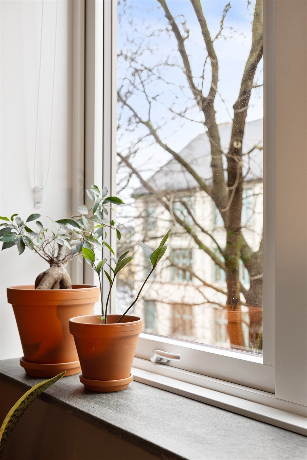 Dype vinduskarmer av skifter i alle rom. Galleribilde