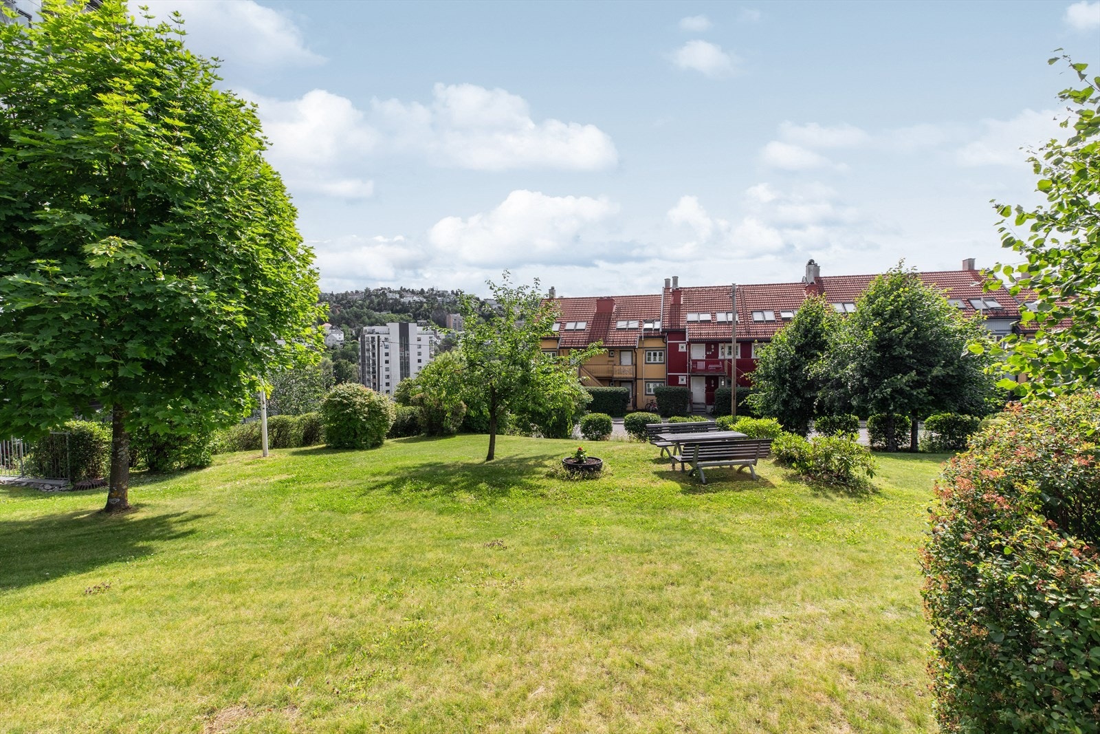 Sommerbilde fra hyggelige fellesområder Galleribilde