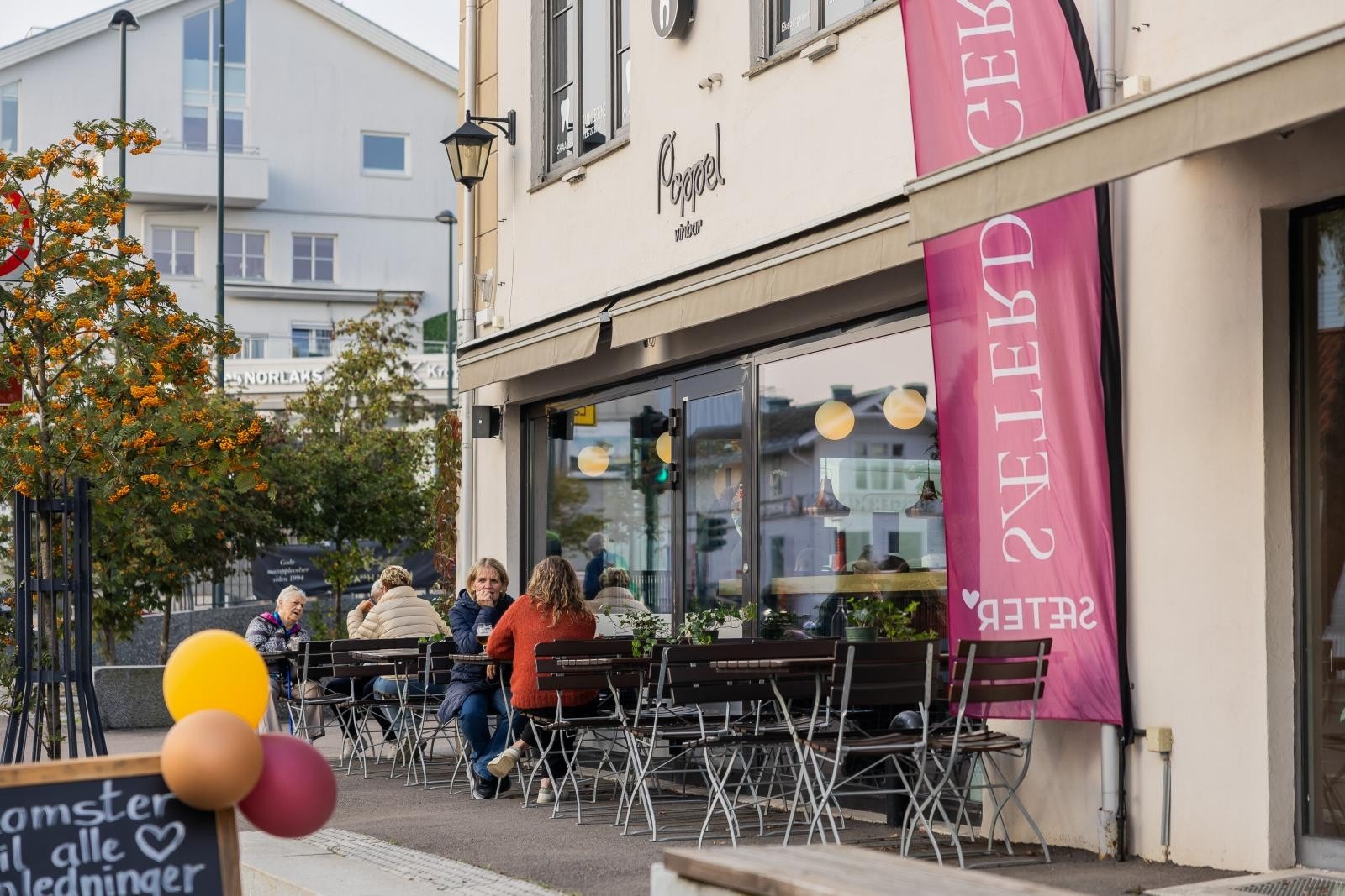 Populære Poppel Vinbar. Galleribilde