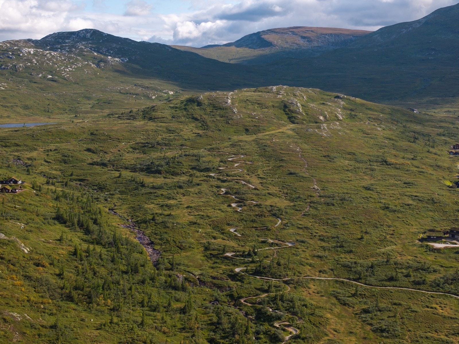 Det er flere fine sykkelløyper på Høgevarde, her har du de doserte Sauvallsvingene. Galleribilde