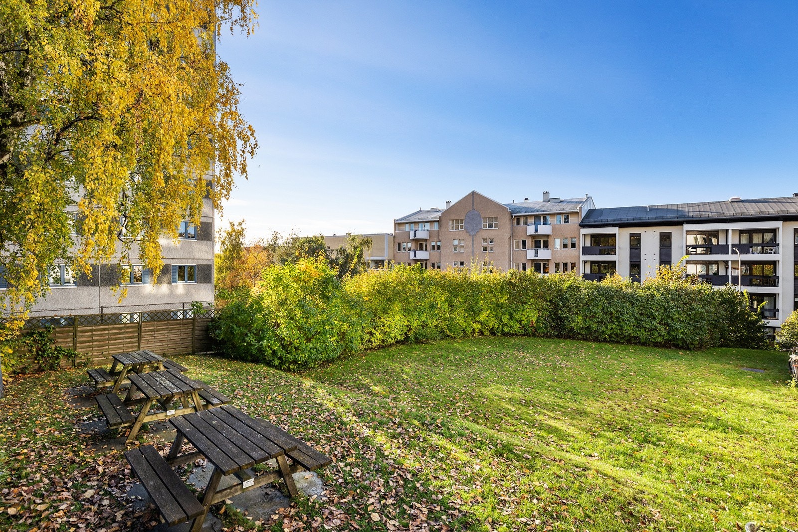 Fellesområder, en koselig hage på siden av blokken mot syd Galleribilde