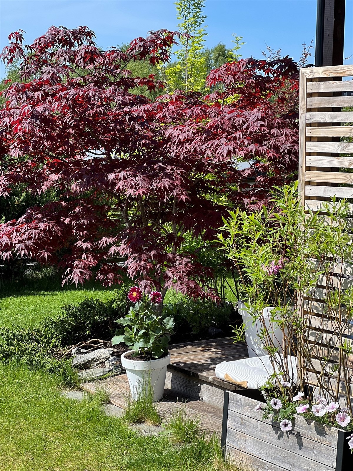 Stemningsbilde tatt av selger Galleribilde