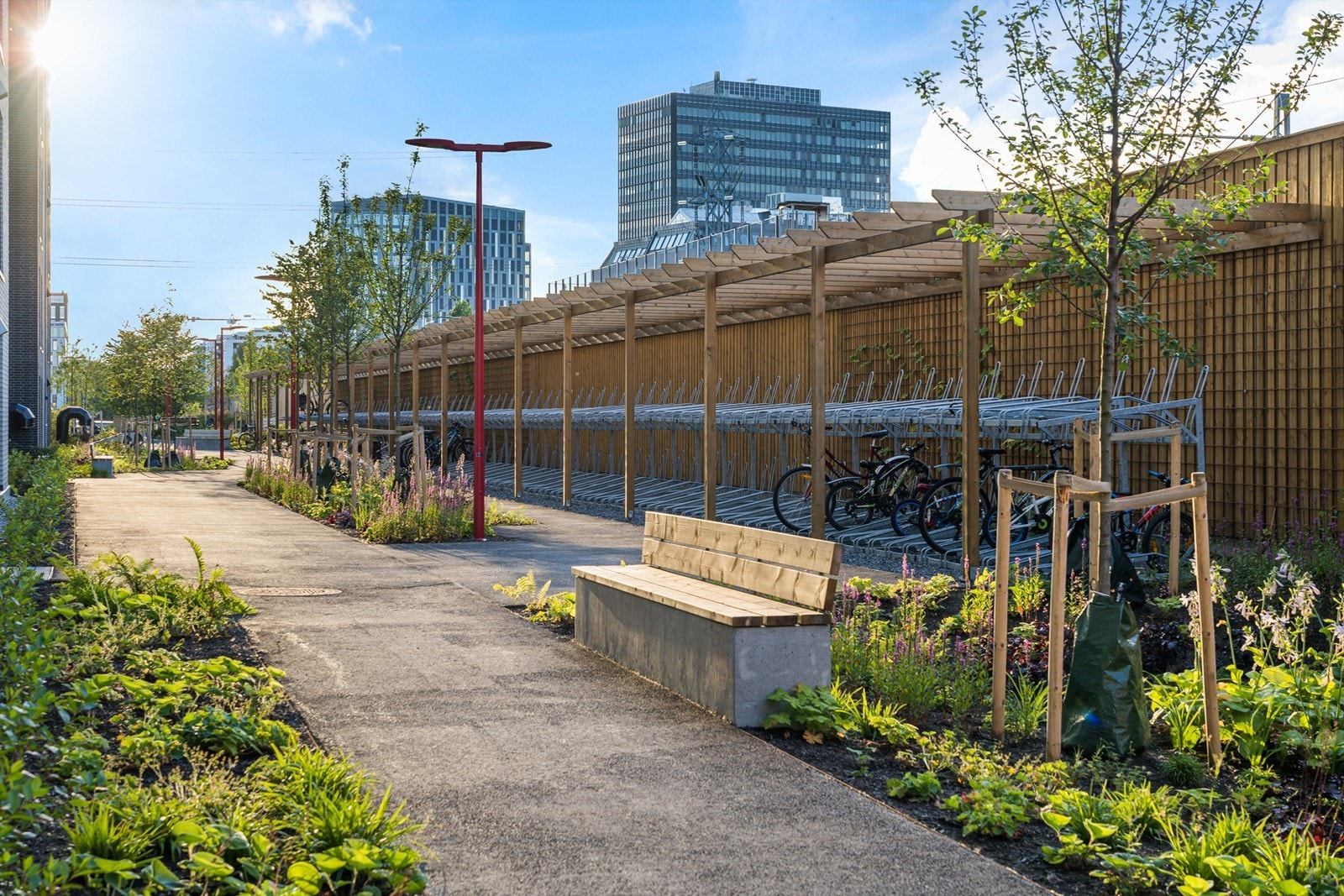 Felles sykkelparkering. Galleribilde