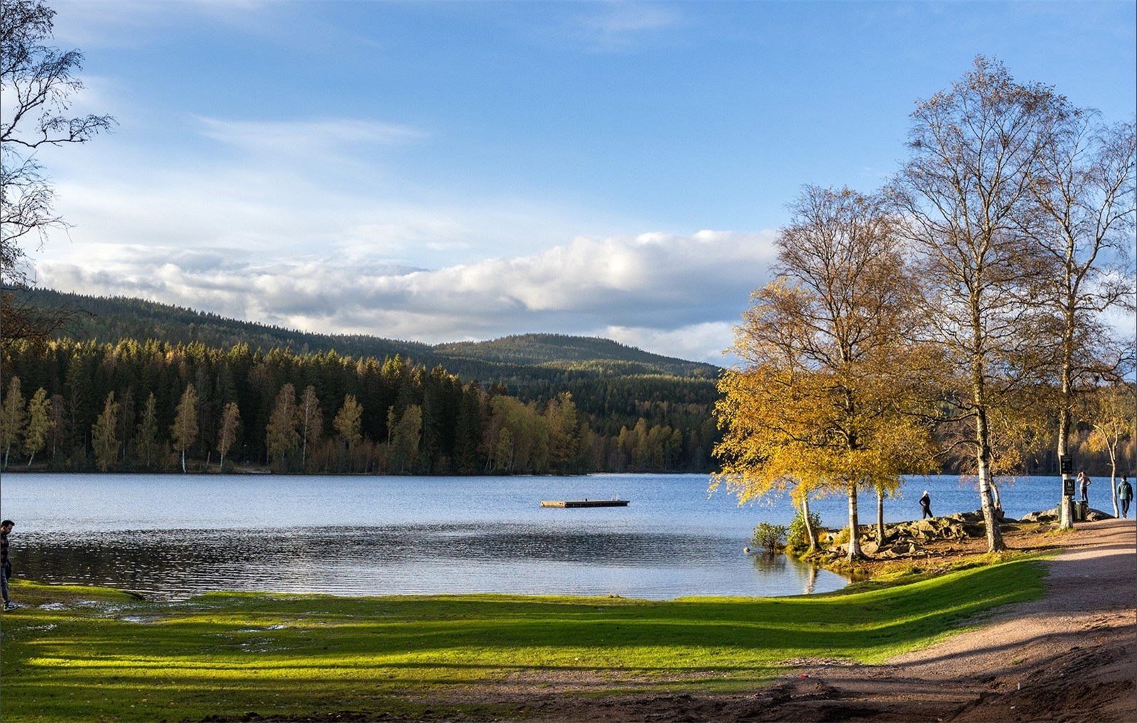 Sognsvann like pent sommer som vinter. Galleribilde