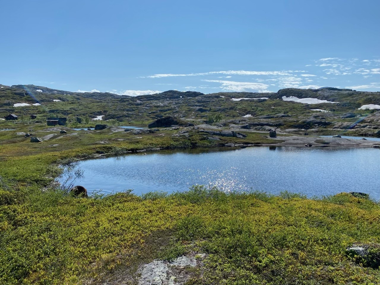 Tomt i et flott høyfjellsområde ved Grusgropvatnet Galleribilde