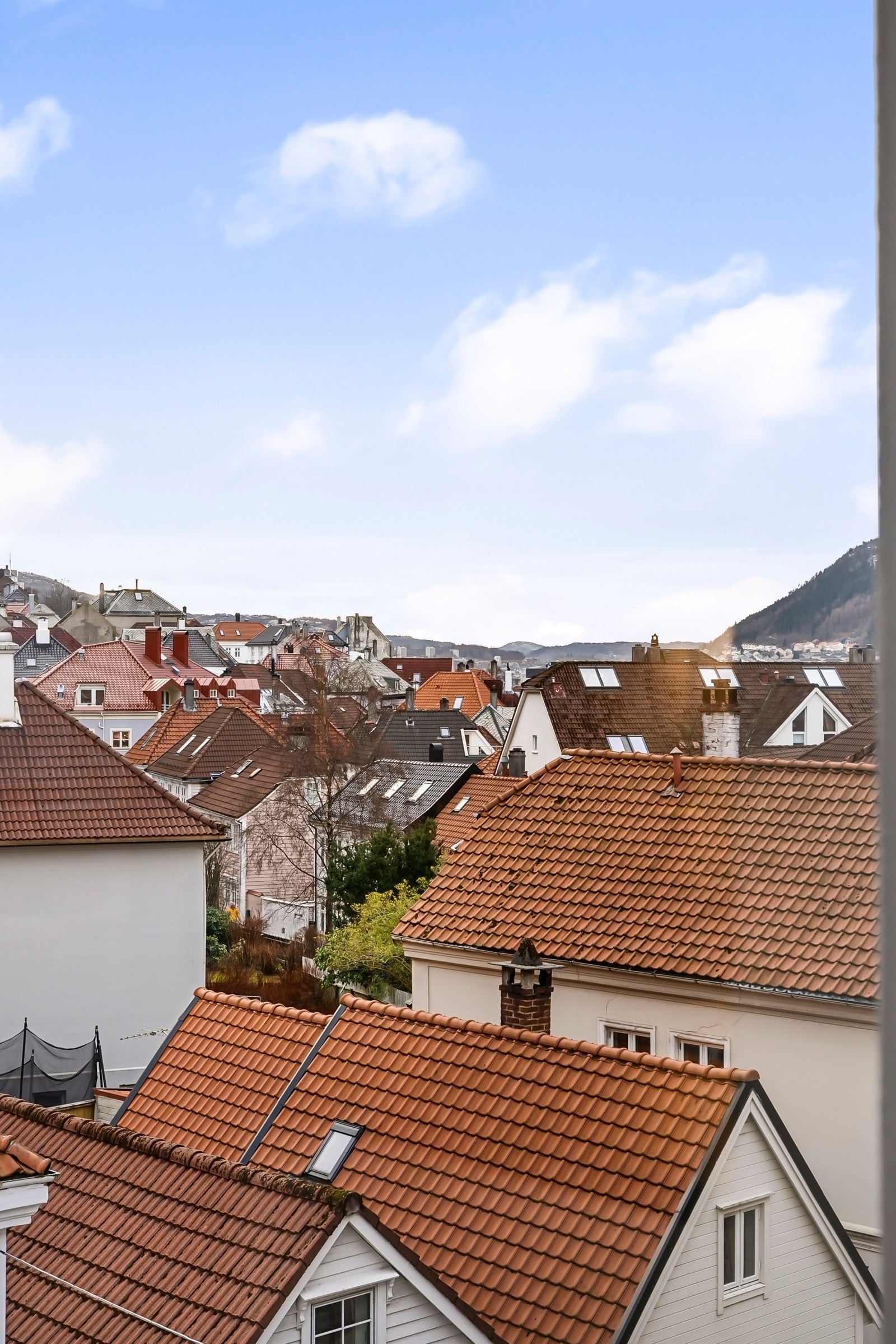 - Utsikt - Galleribilde