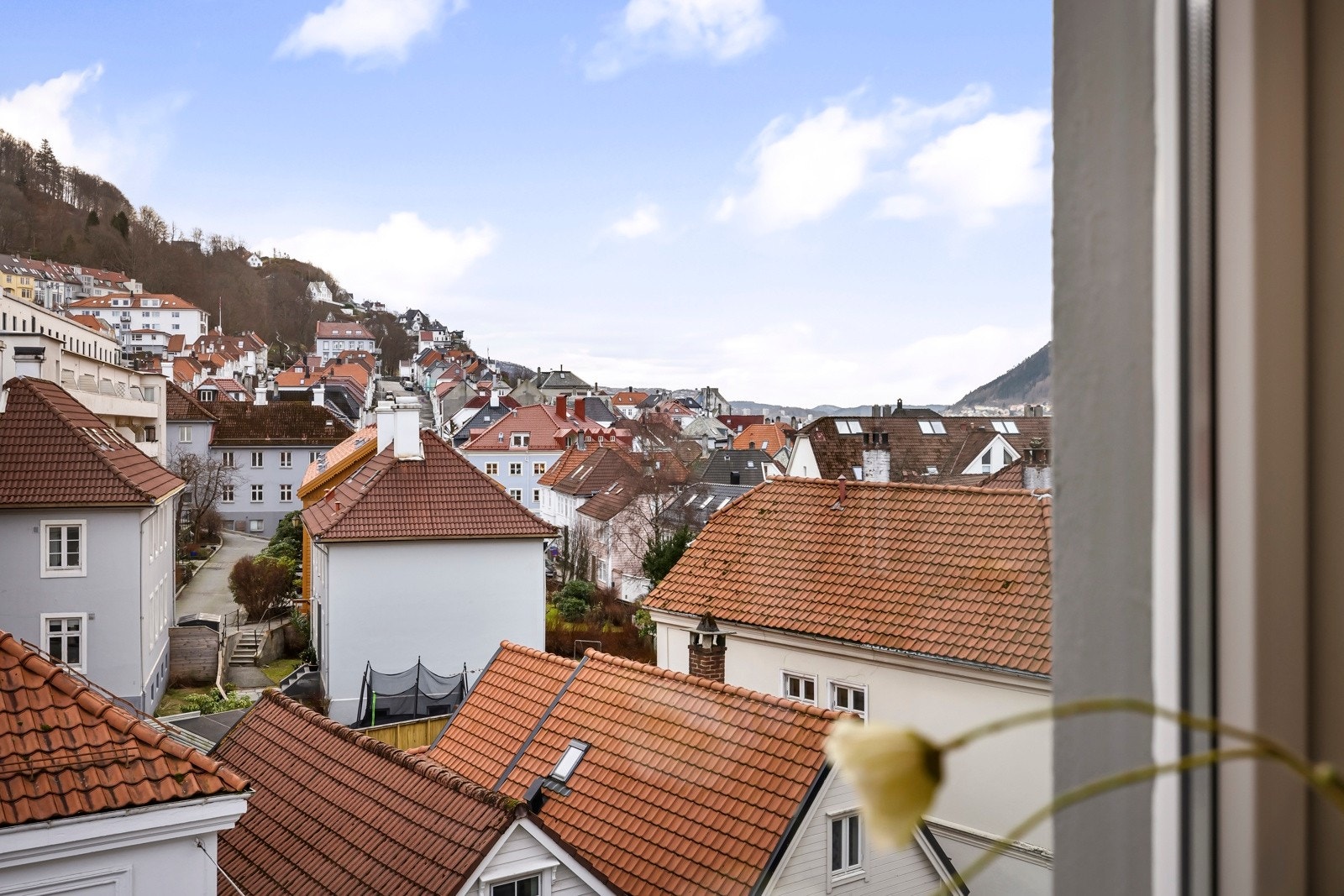 - Leiligheten har pen utsikt over nabolaget - Galleribilde