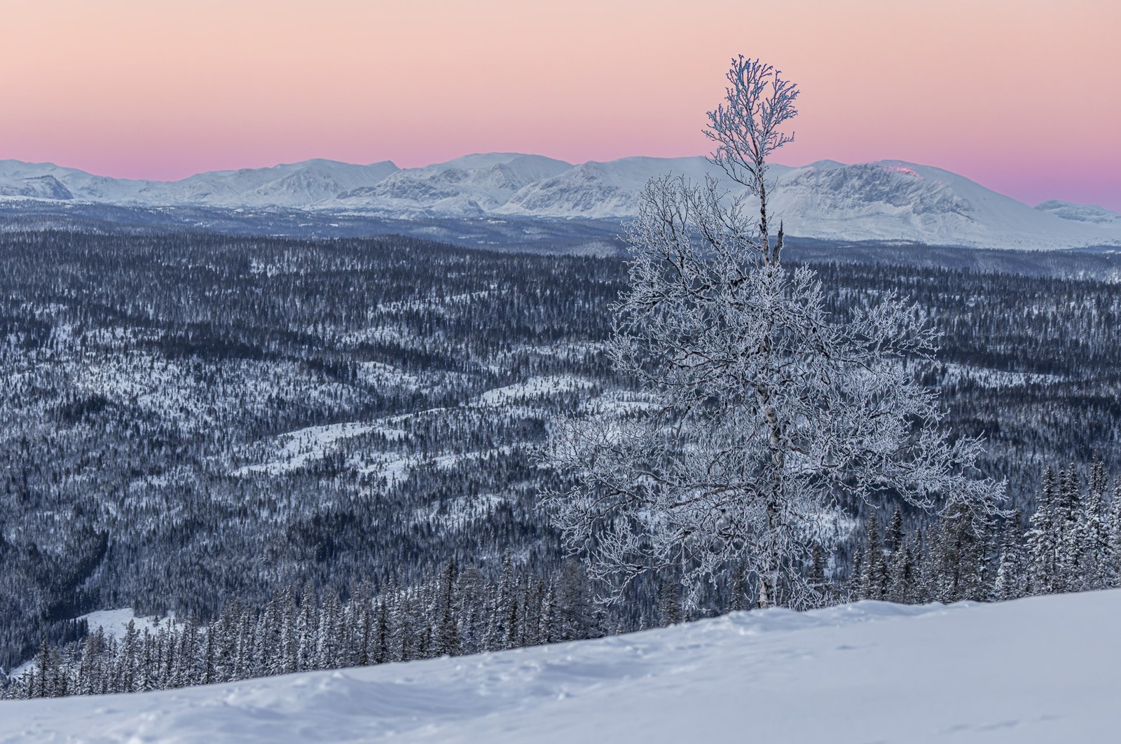Utsikt fra en av tomtene Galleribilde