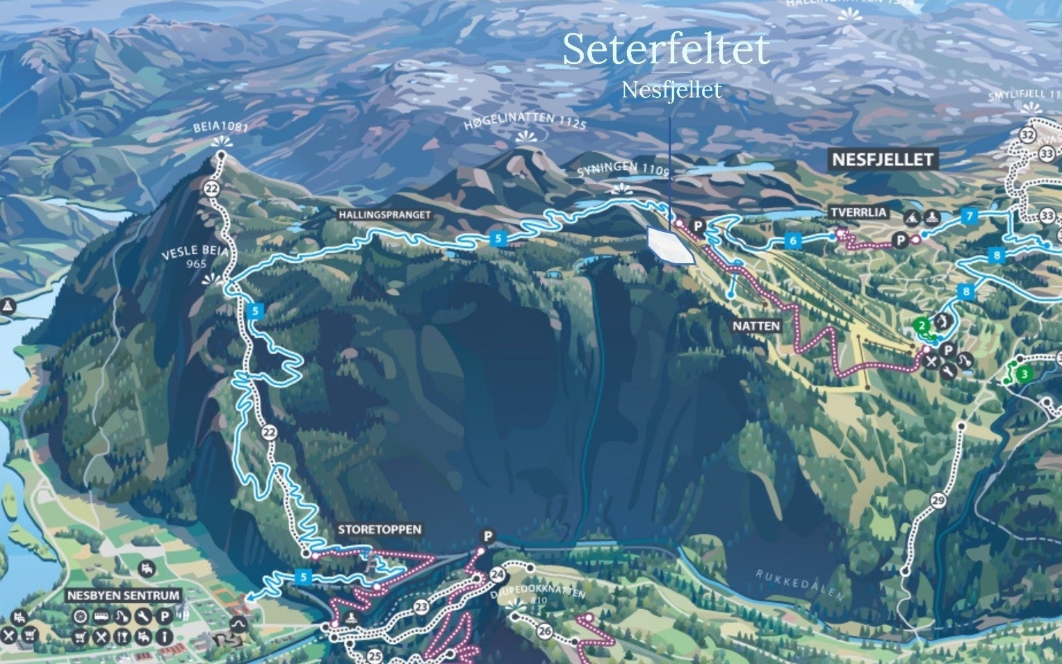 Seterfeltet er et ypperlig utgangspunkt for sykkelturer rundt i Nesfjellet, og helt ned til Nesbyen sentrum Galleribilde