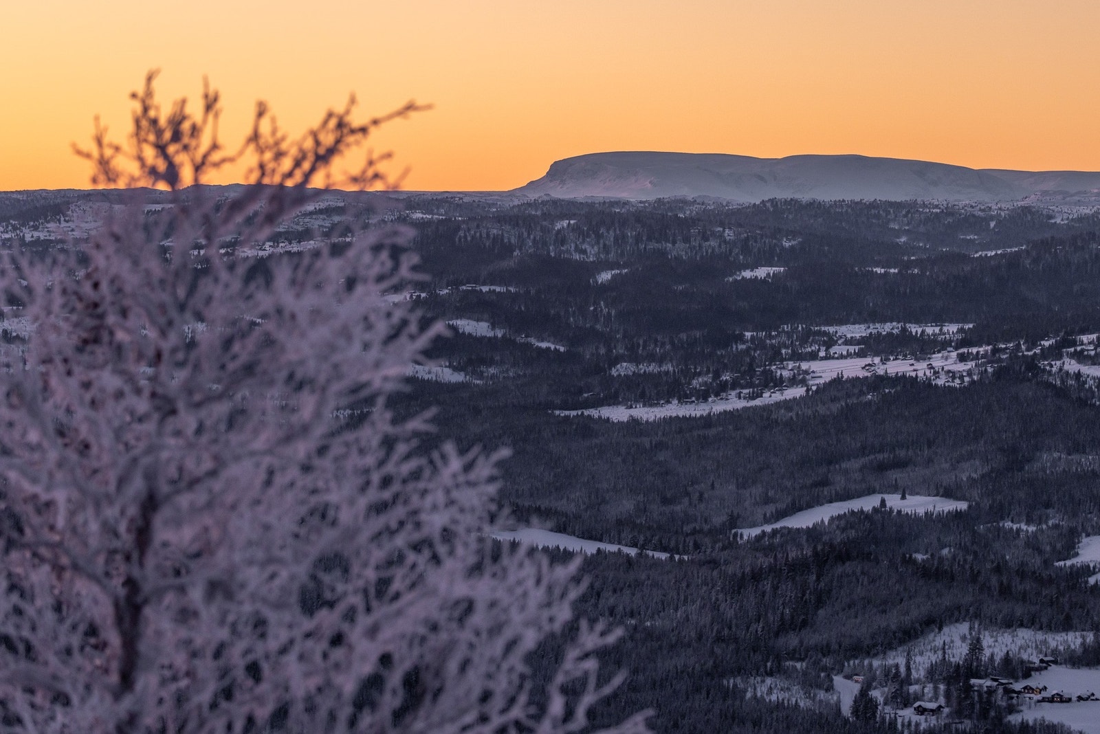 Utsikt til Hallingskarvet fra en av tomtene Galleribilde