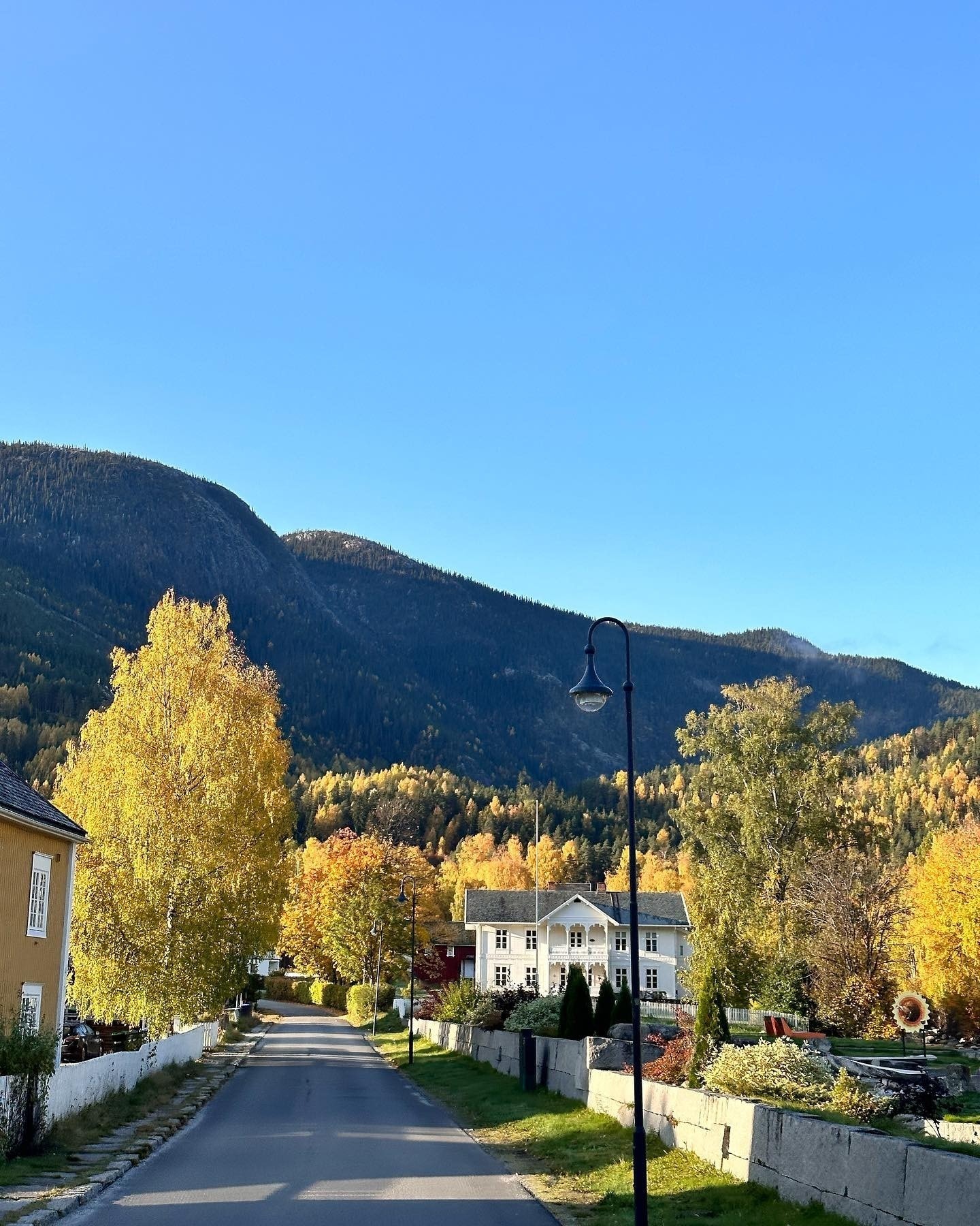 Nesbyen sentrum har en rekke butikker i et trivelig miljø, blant annet håndverksbakeri, pizzeria Galleribilde
