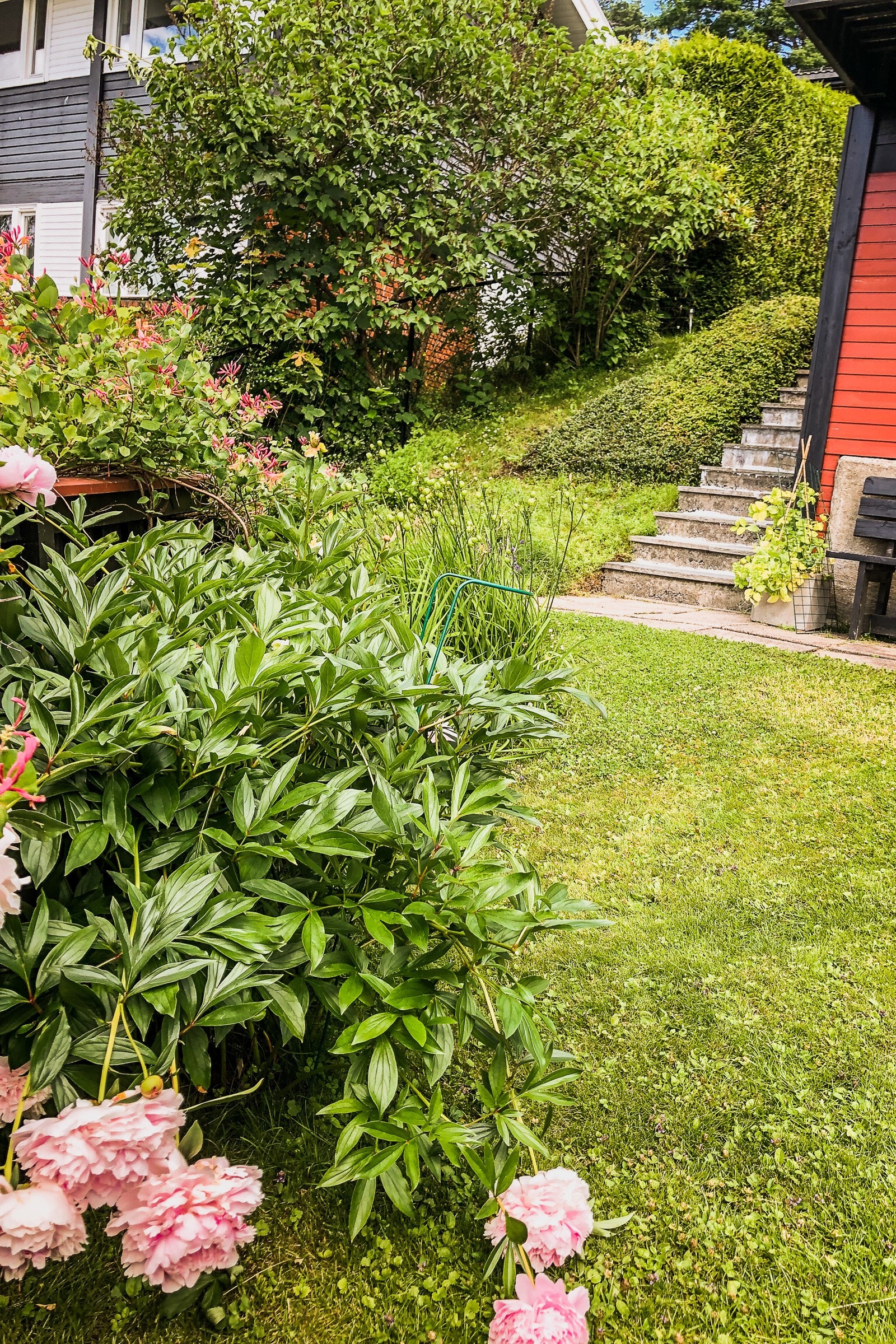 Særdeles dekorativ beplantning. Galleribilde