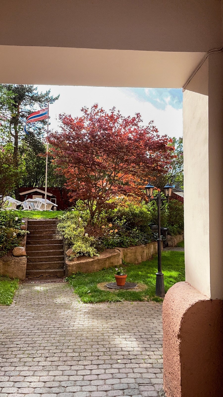Sommerbilde av bakgården. Galleribilde