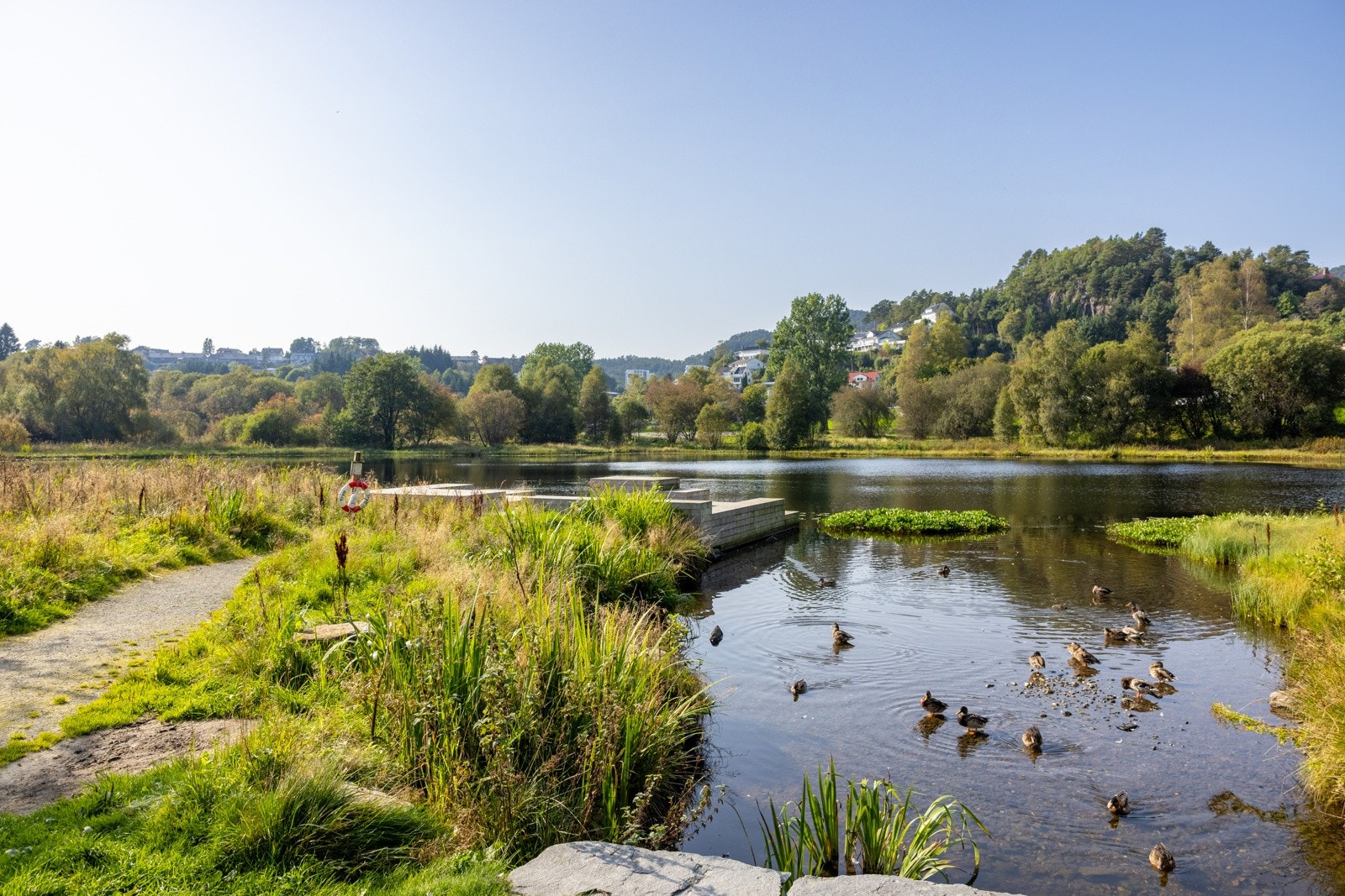 Lynghaugparken. Galleribilde