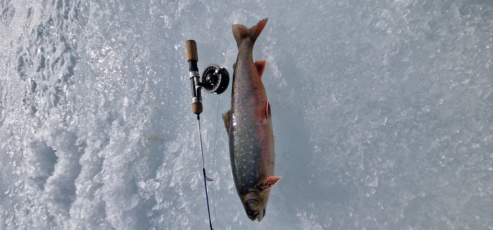 900 fiskevann på ett fiskekort. Galleribilde