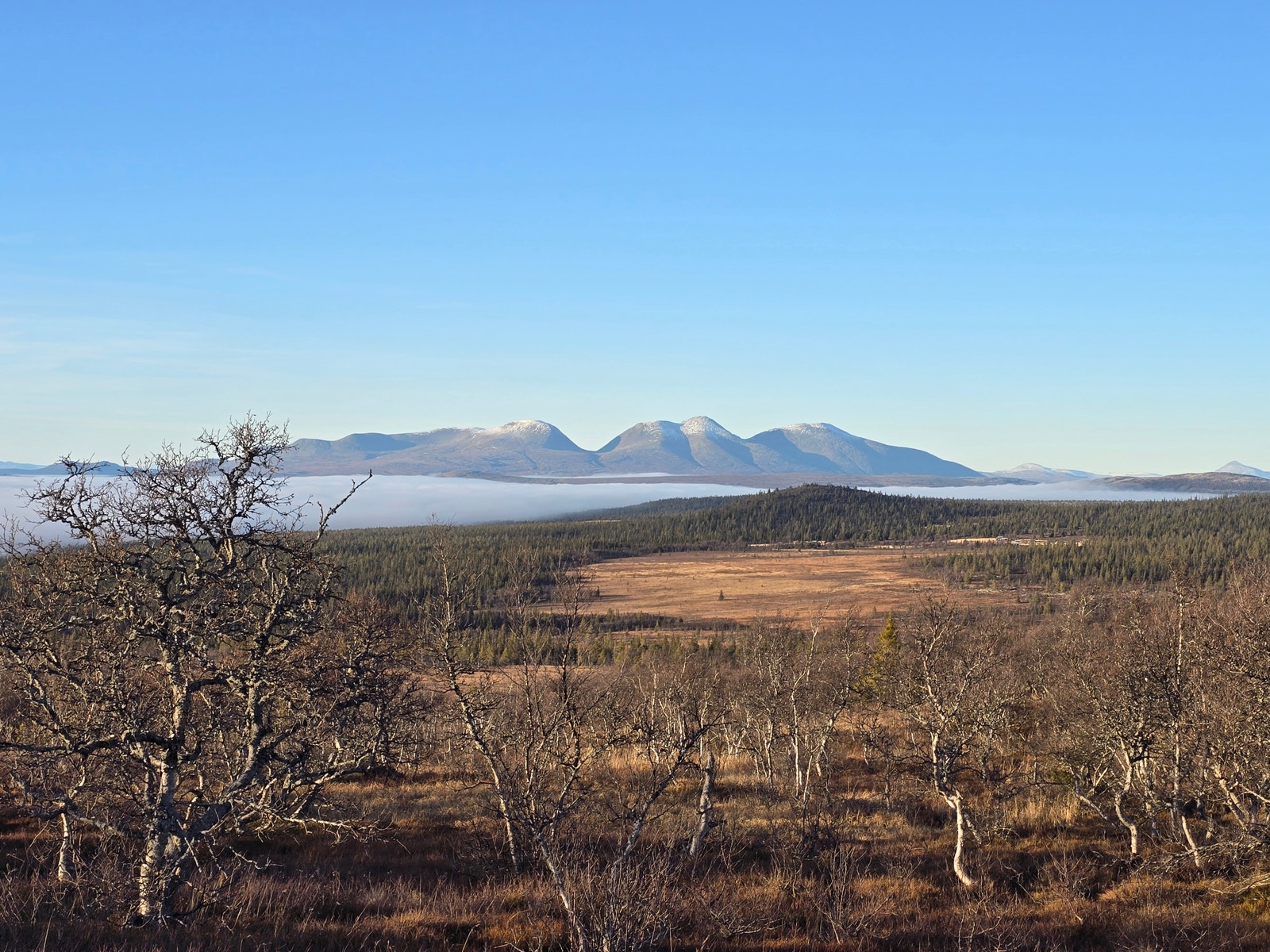 Flotte turmuligheter sommer som vinter. Galleribilde