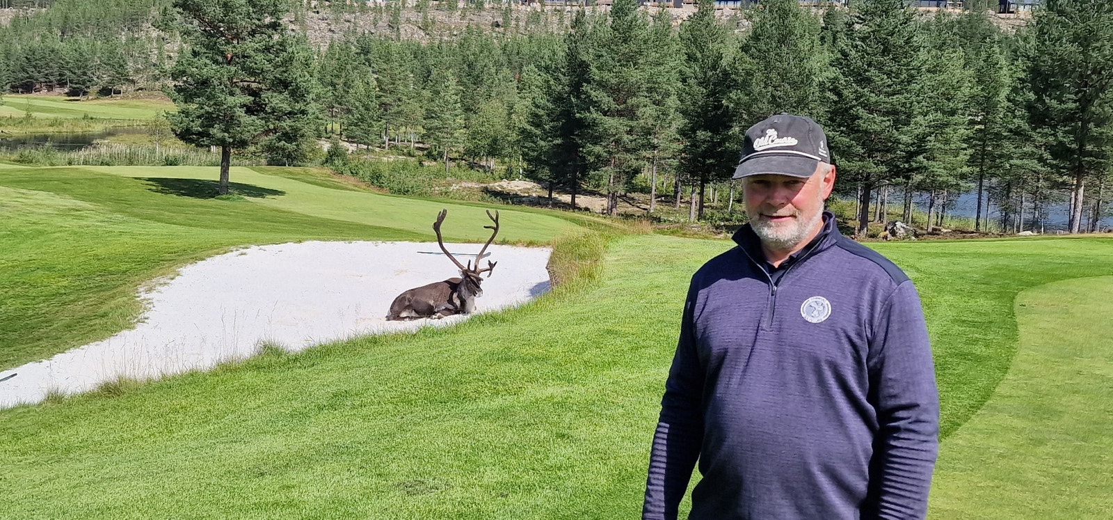 Reinsdyr på Golfbanen er ikke uvanlig. Topp Golfbaner innen 45 min kjøring. Både Trysil og Idre Golfklubb. Galleribilde