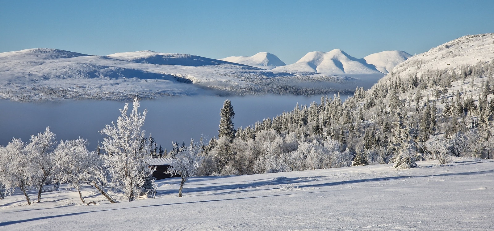 Utsikt fra skiløypenettet. I samarbeid med Hytteforeningen bistår vi med blant annet gapahuker i løypenettet. Galleribilde