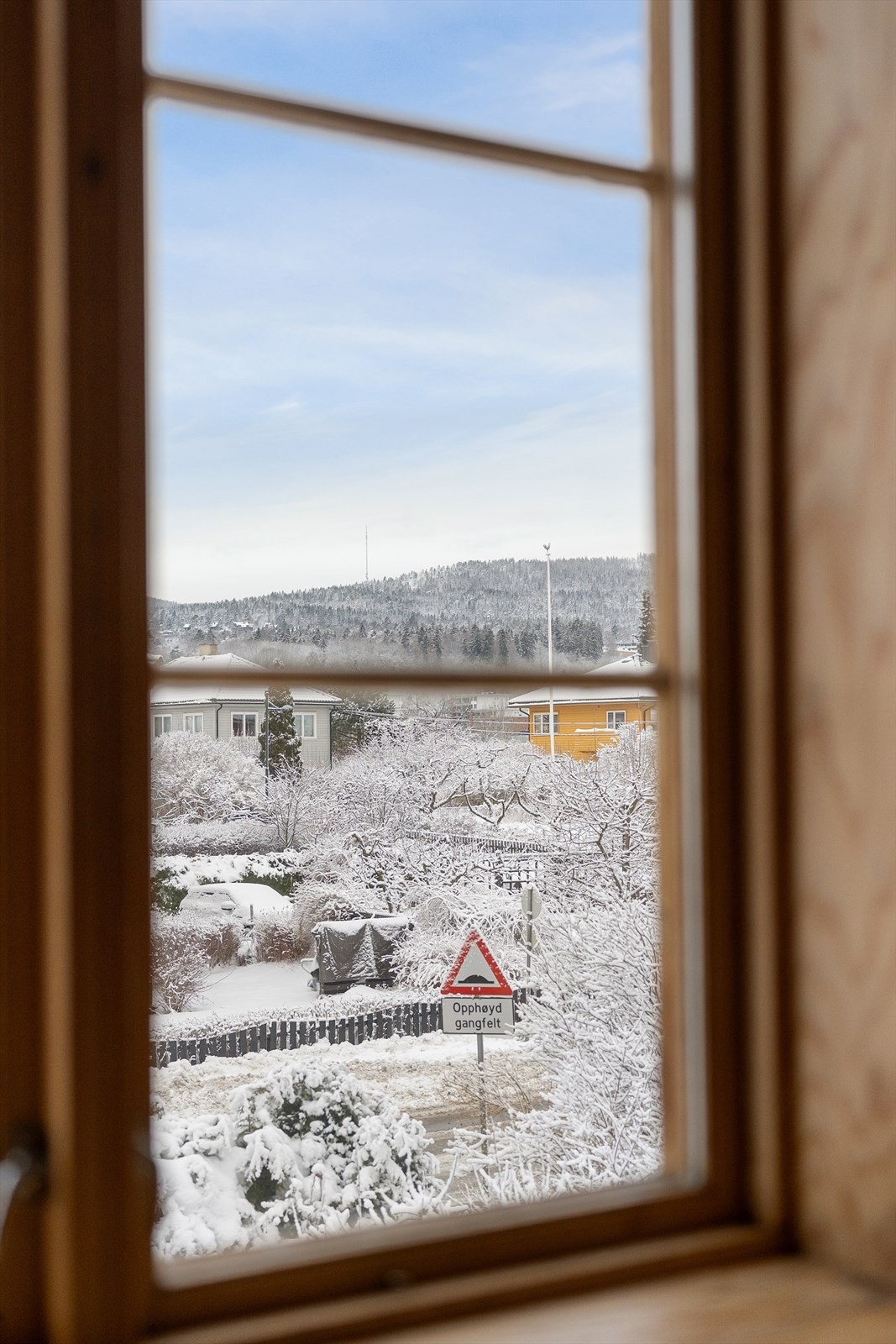 Utsikt fra stuen Galleribilde