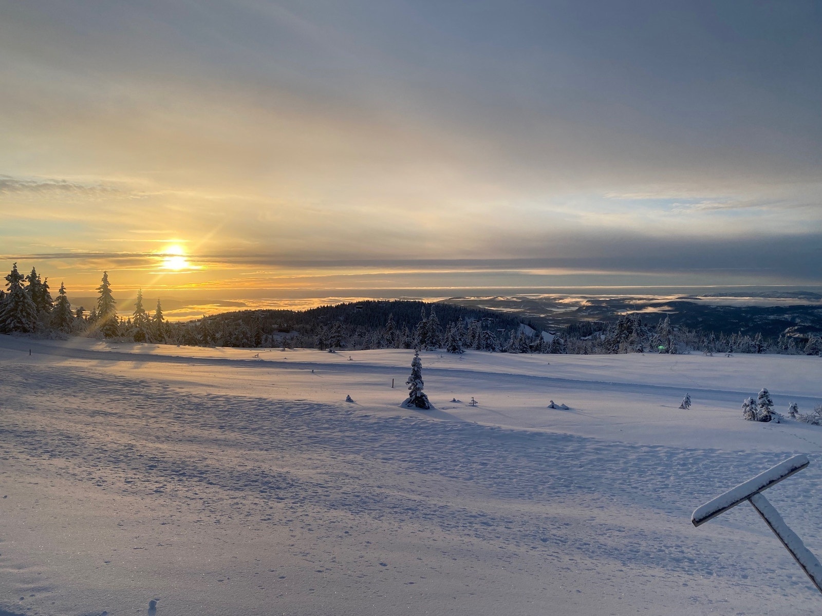 Tomteområdet sett mot sørøst Galleribilde