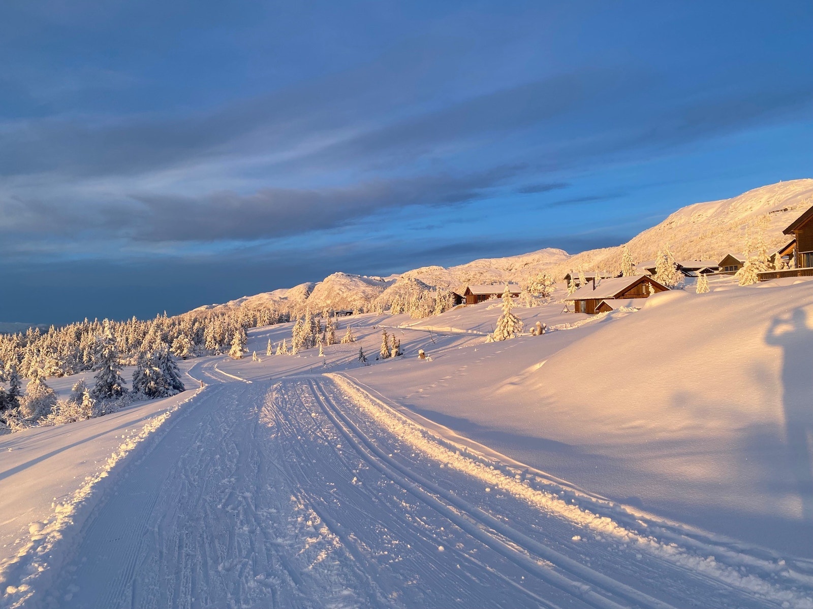 Tomteområdet sett mot vest Galleribilde