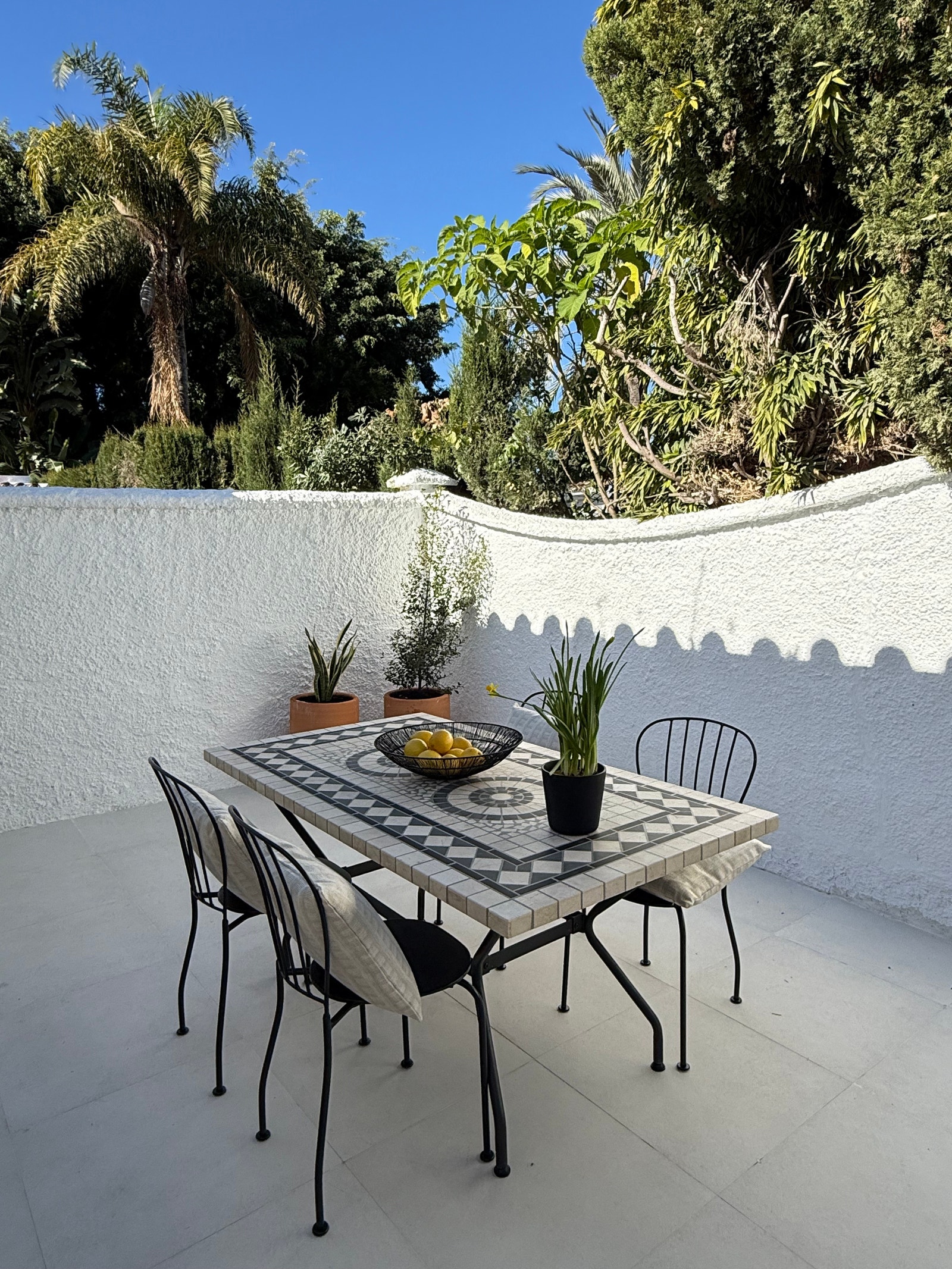 Deilig stor og solrik terrasse bak boligen - ettermiddag og kveldsol. Galleribilde