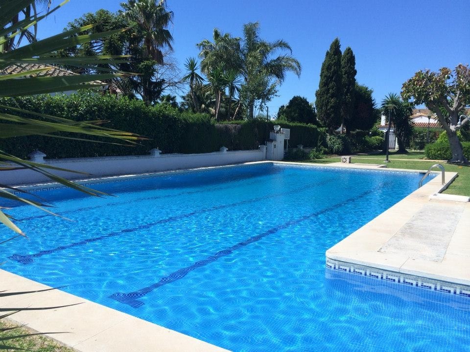 Stort basseng i hagen, med både grunn del for barn og dyp sone Galleribilde