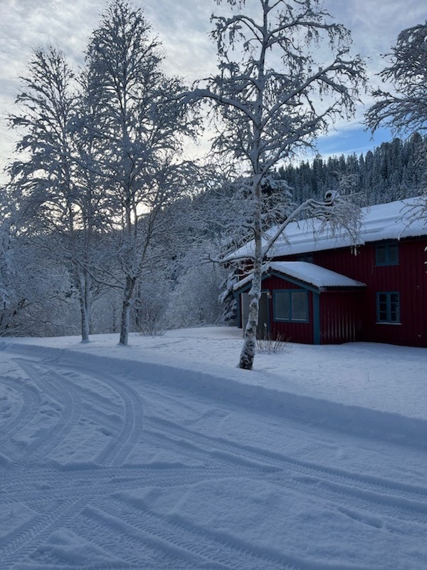 Bolighus.jpg Galleribilde