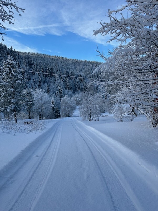 Adkomstvei.jpg Galleribilde