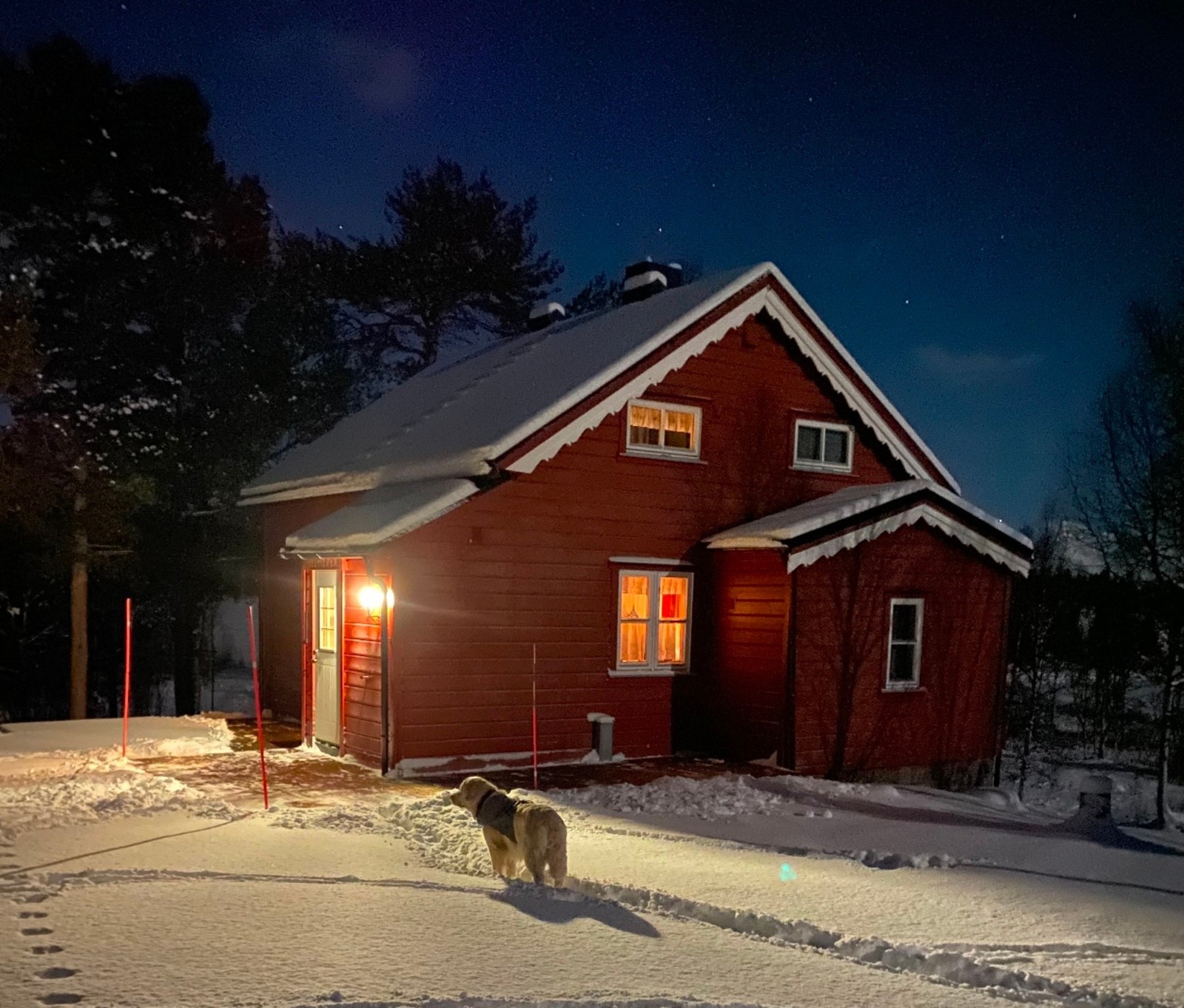 Vinterbilde Galleribilde