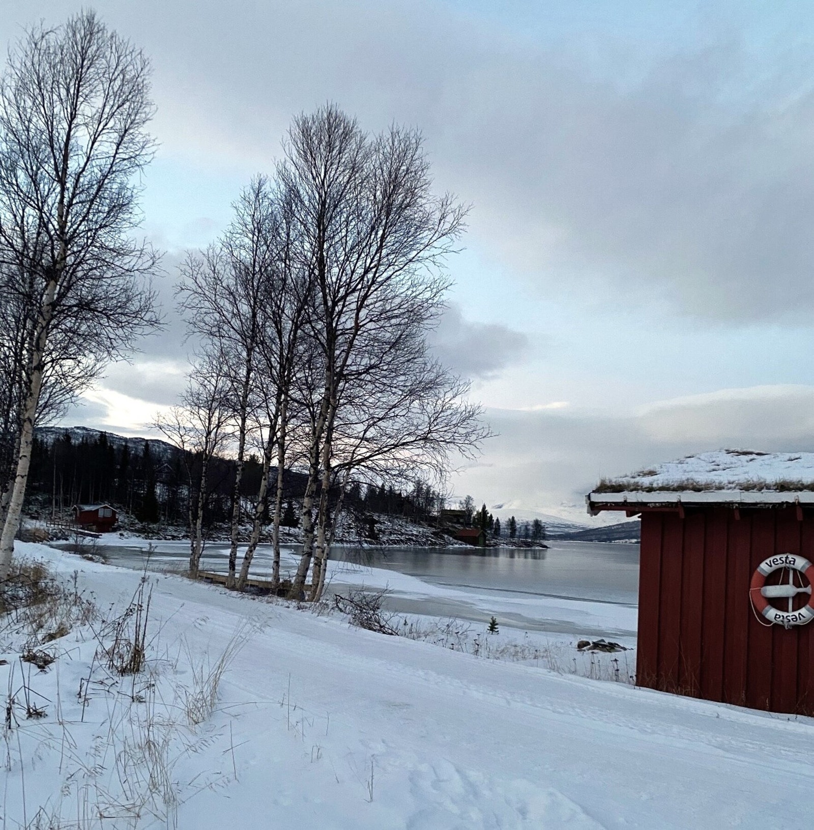 Vinterbilde Galleribilde