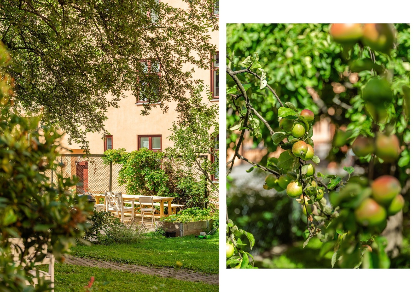 Her kan virkelig late sommerdager nytes med felles grill og hyggelige sittegrupper. Galleribilde