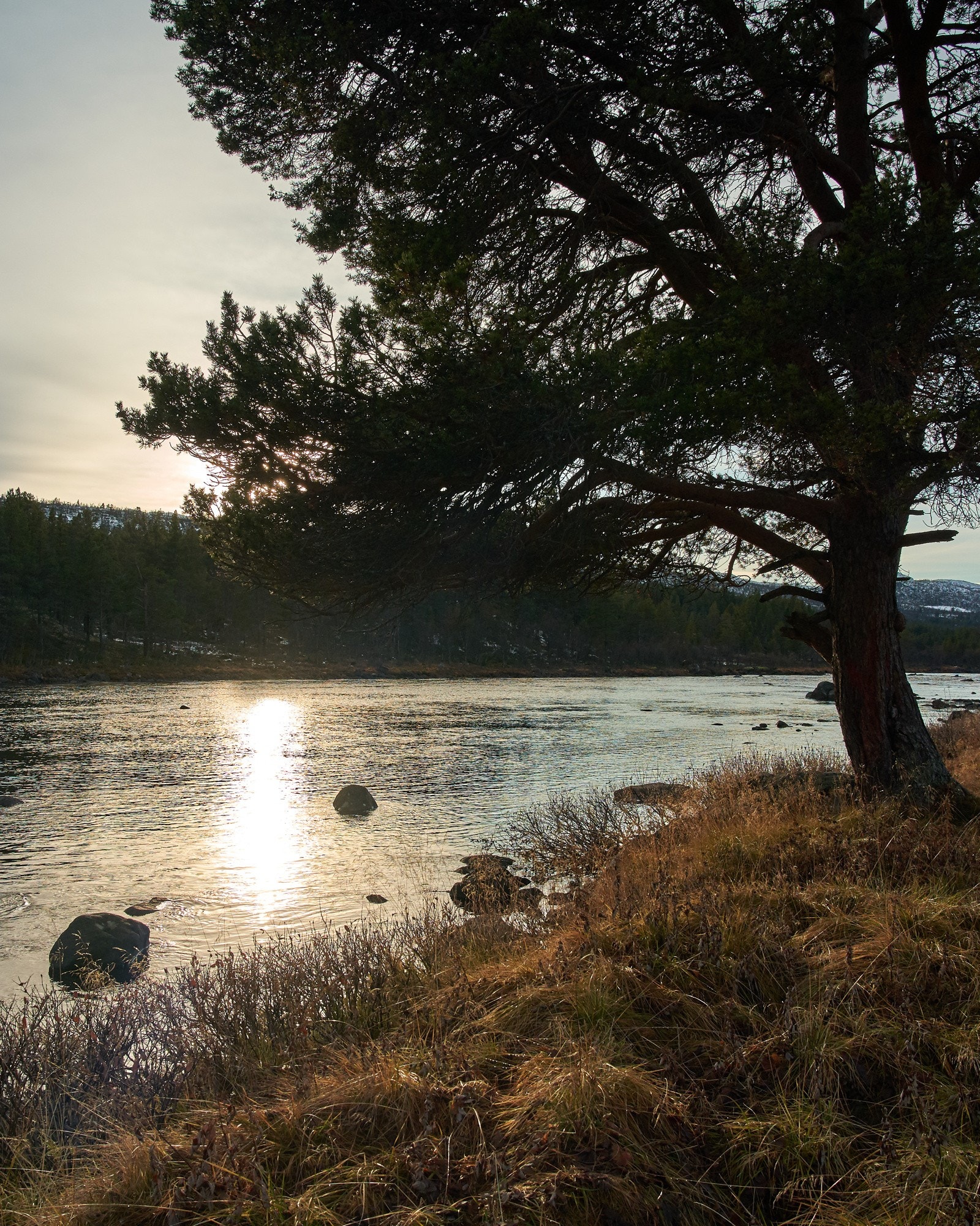 19-10-21 5 Galleribilde