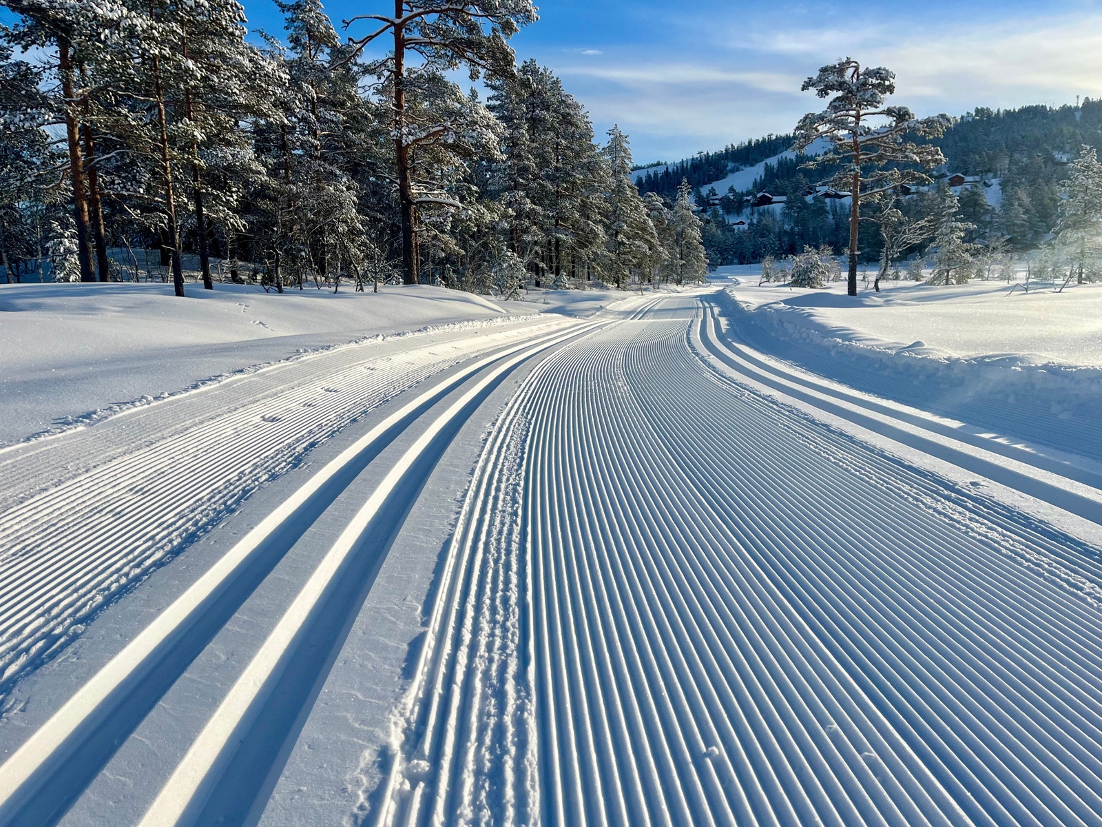 Fantastiske skiløyper på Gautefall Galleribilde