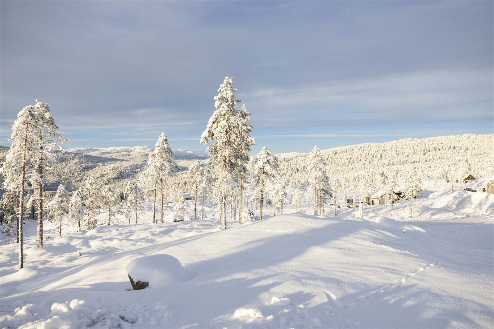 Sprena sen des22-03.jpg Galleribilde