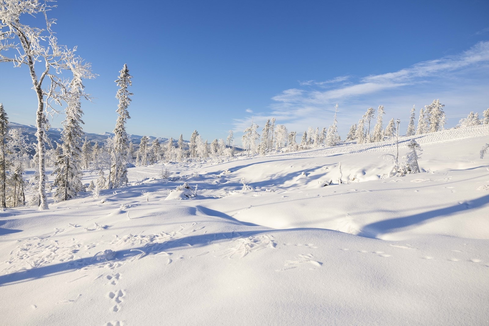 Solskinn.jpg Galleribilde