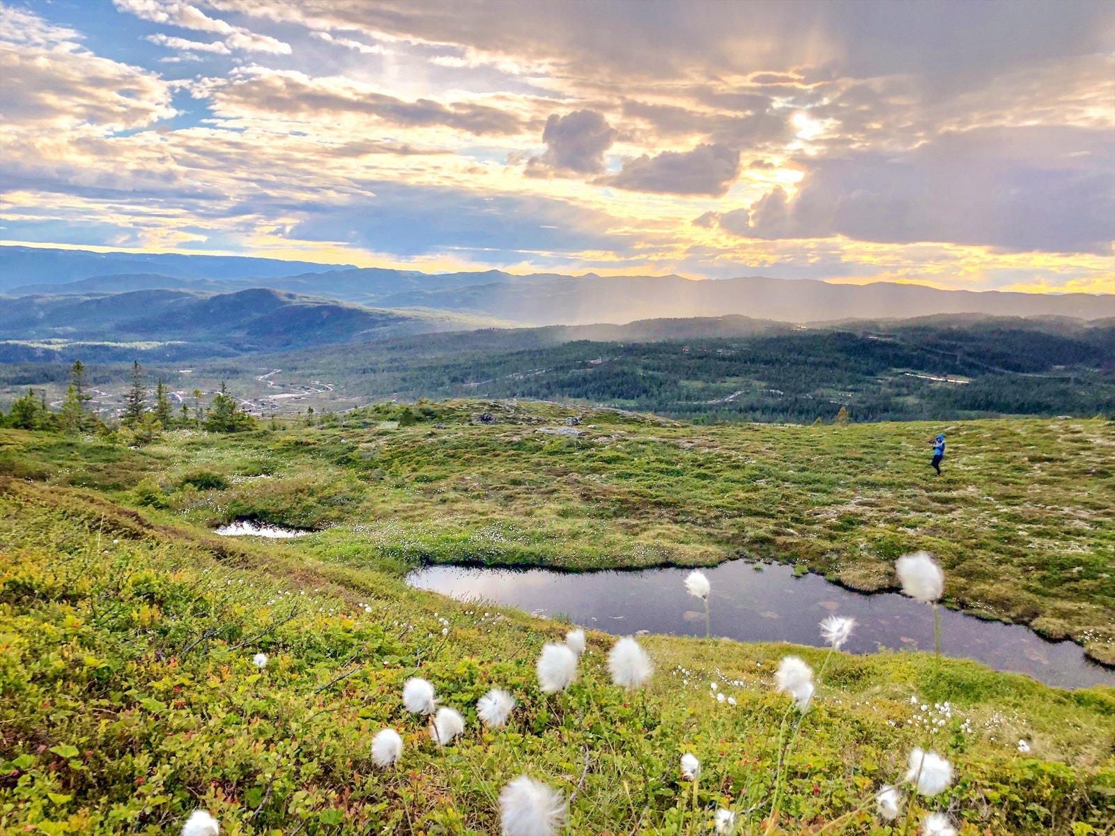 objpict_4492535855158_0.jpg Galleribilde