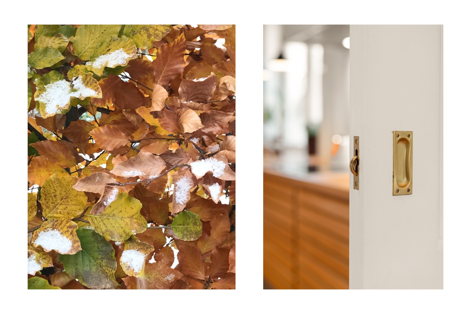 Originale restaurerte innerdører til de fleste rom i første og annen etasje. Bilde fra hagen. Galleribilde