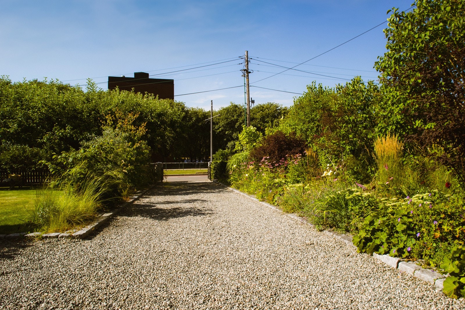 Oppkjørselen er kantet med frodige busker og stauder som avløser hverandre gjennom sesongen. Galleribilde
