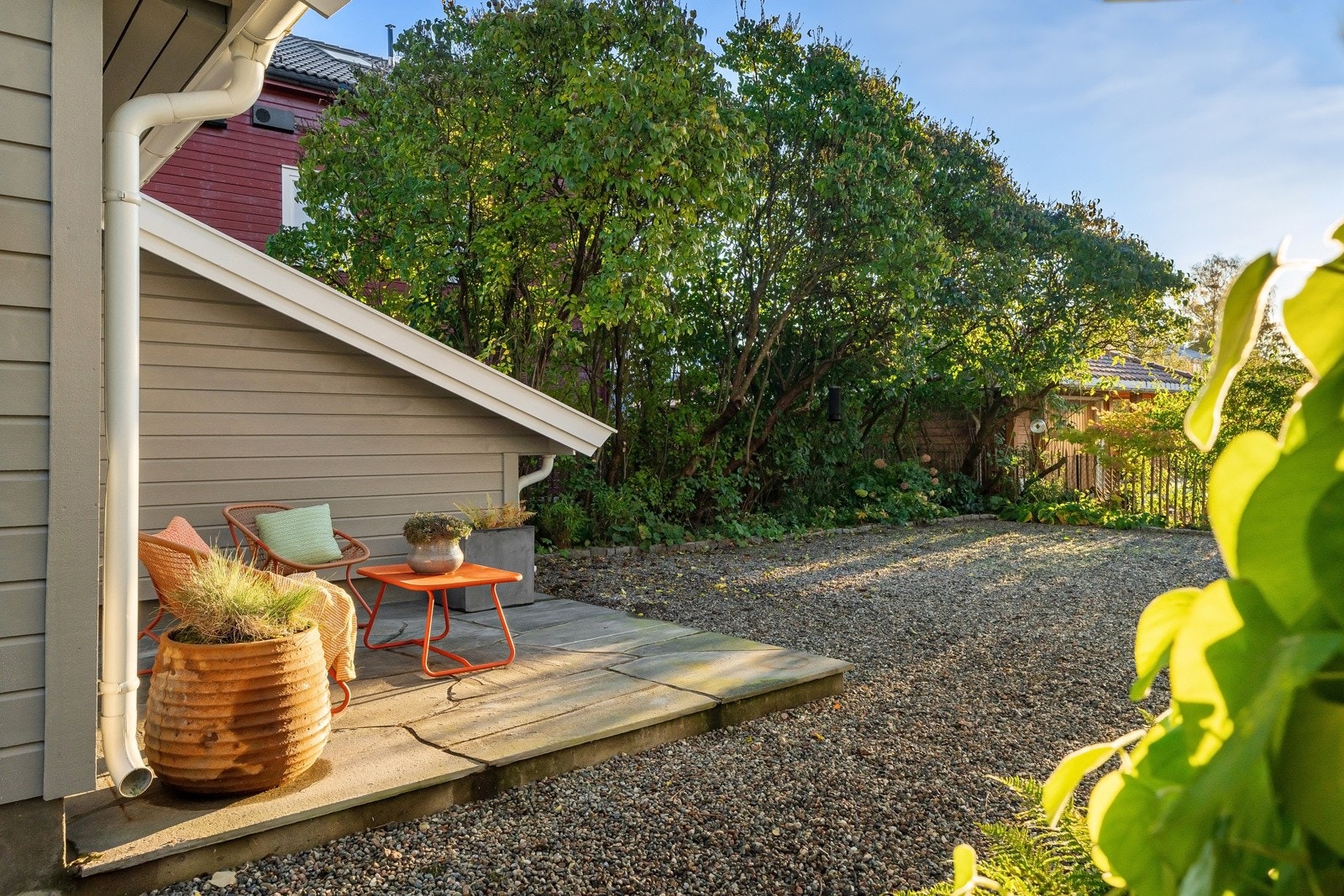 Usjenert bakhage som er rammet inn av frodige syriner, busker og stauder. Galleribilde