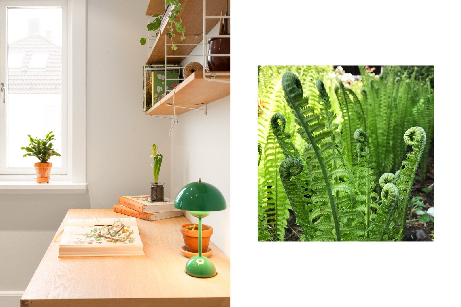 Hagen er tegnet av hagedesigner. Bilde fra hagen. Galleribilde