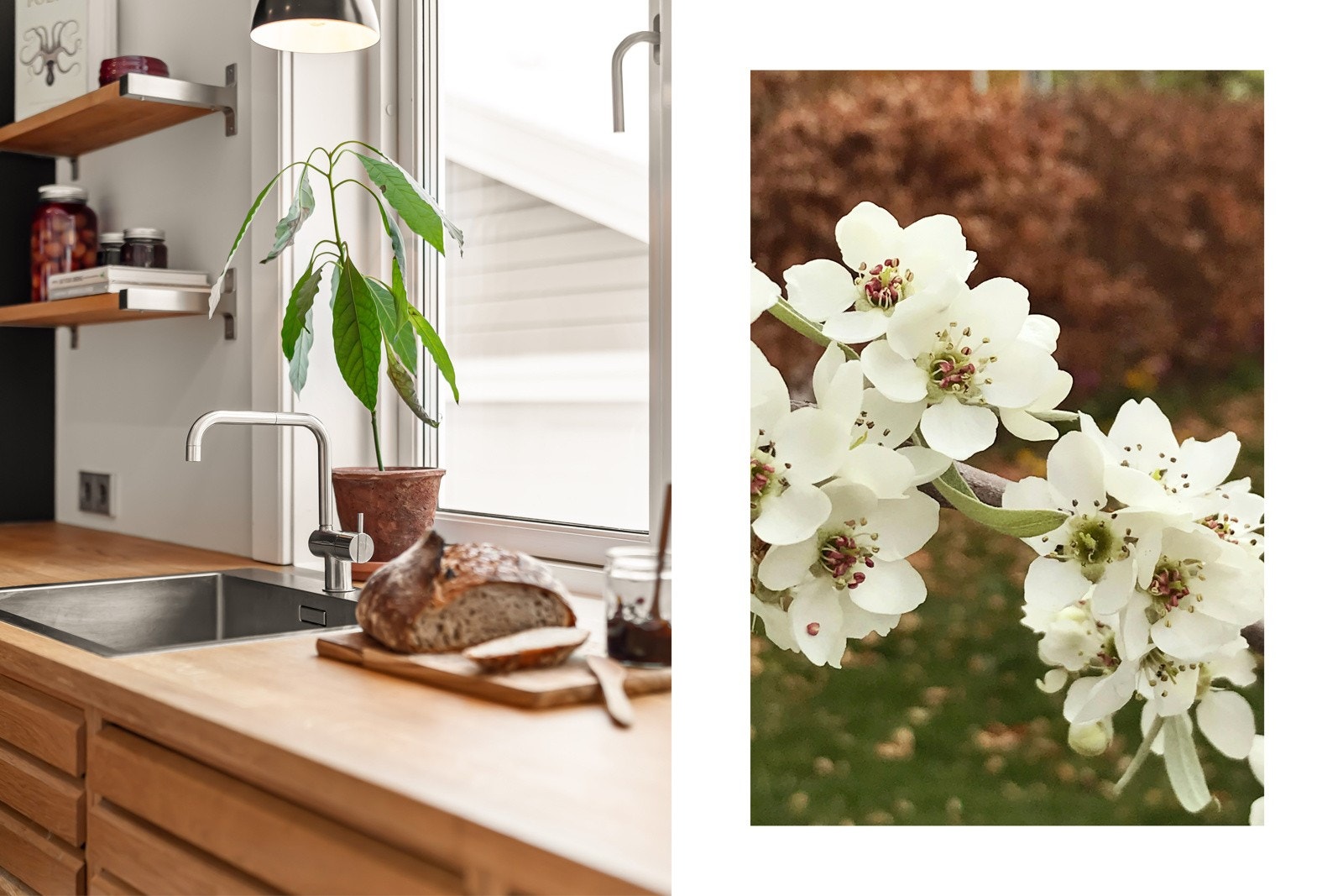 Kjøkkenet har en smakfull kombinasjon av materialer og utstyr. Benkeplate i massiv eik, armaturer fra Vola og alle hvitevarene er fra kvalitetsmerket Miele. Bilde fra hagen. Galleribilde