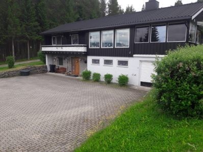 Selgers sommerbilde. Galleribilde